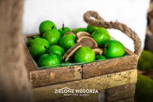 Zdjęcie z galerii obiektu Zielone Wzgórza - Hobbitowe Domki na Kaszubach w mieście Przywidz