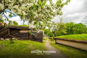 Zdjęcie z galerii obiektu Zielone Wzgórza - Hobbitowe Domki na Kaszubach w mieście Przywidz