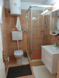 a bathroom with a shower and a toilet and a sink at Villa Volga in Jelsa