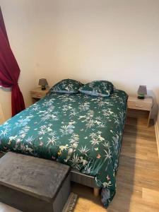 モン・ド・マルサンにあるMaison Mont de Marsanのベッドルーム1室(緑の毛布と枕付きのベッド1台付)