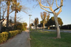 una luz de la calle en una acera junto a un árbol en Near Beach, en Sant Pere Pescador