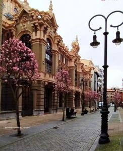 a street with trees with pink flowers in front of a building at Apartamento Palacio Valdés, centro Avilés, con parking in Avilés