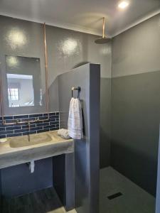 a bathroom with a sink and a mirror at @241 Enkeldoorn Guesthouse in Pretoria