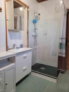 ein Bad mit einer Dusche und einem Waschbecken in der Unterkunft Logement entier et calme 55m2 avec SPA - sauna et borne de recharge 7KW in Meyreuil