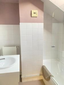 La salle de bains est pourvue d'un lavabo et d'une douche. dans l'établissement Auberge le bois du cornet, à La Forclaz