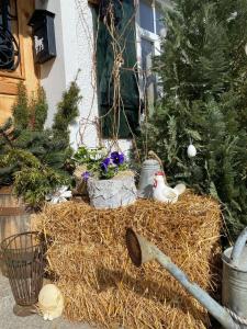 Ogród w obiekcie Apartamenty sudeckie nad zalewem III