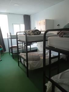 Voodi või voodid majutusasutuse Hostel Allegro toas