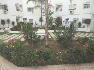 a courtyard with a palm tree in front of a building at Yasmina in Ariana