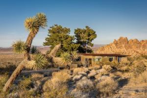 uma casa no deserto com uma palmeira em Marmol Radziner's Modernist Cabin - Joshua Tree em Joshua Tree