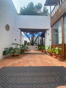 a courtyard with a tree in the middle of a building at Casa Origenes in Haría