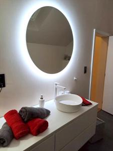 baño con lavabo y espejo grande en 2 bedrooms house with sauna terrace and wifi at Gembloux, en Gembloux