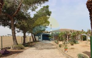 デルテブレにあるPagall - Casa rural con piscina privada y cerca la playa de Riumar - Deltavacacionesの背景のトンネルを背景に植えられた庭園