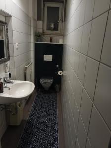 ein kleines Bad mit einem Waschbecken und einem WC in der Unterkunft Ferienwohnung mit Whrpool in Koblenz