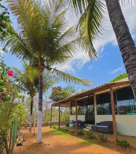 a palm tree in front of a house at Pousada Shalon Adonai Noronha in Fernando de Noronha