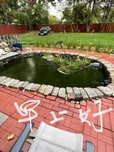 a pond in a garden with graffiti on it at Eusleep pleasure in Fairfax