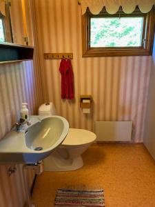 een badkamer met een wastafel, een toilet en een raam bij By Lake Rusken - 2 cottages - fantastic nature in Rörvik