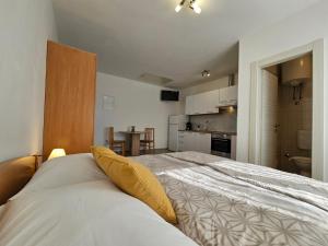 a bedroom with a large bed and a kitchen at Studio Busilak in Vrh