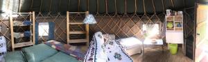 Imagen de la galería de Yurt Between Lilac and Fuchsia, en Mountshannon