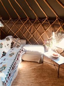 Легло или легла в стая в Yurt Between Lilac and Fuchsia
