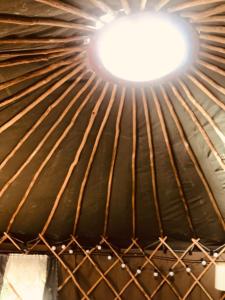Imagen de la galería de Yurt Between Lilac and Fuchsia, en Mountshannon