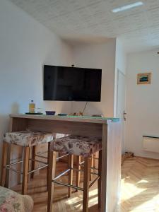TV a/nebo společenská místnost v ubytování River View Apartment Gospic