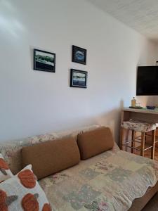 a couch in a living room with three pictures on the wall at River View Apartment Gospic in Gospić