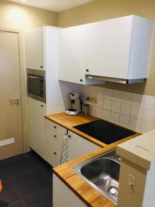 uma cozinha com um lavatório e uma bancada em Toplocatie tussen Brussel en Antwerpen 4 personen em Meise