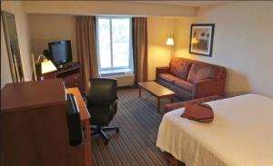 a hotel room with a bed and a couch at Hampton Inn Hampton-Newport News in Hampton