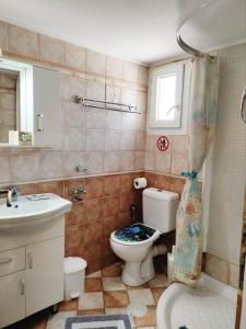 ein Bad mit einem WC und einem Waschbecken in der Unterkunft Villa Anna in Agios Petros