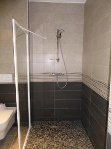a bathroom with a shower with a sink and a toilet at Chalet Les Pins - 3 Pièces pour 6 Personnes 84 in Valloire