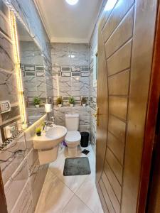 un baño con inodoro y lavabo en Modern 2BR Apartment in Maadi, en El Cairo 44 fotos más