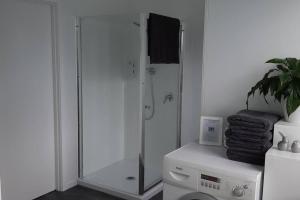 y baño con ducha y lavadora. en Clover Hill Studio Apartment, en Milton