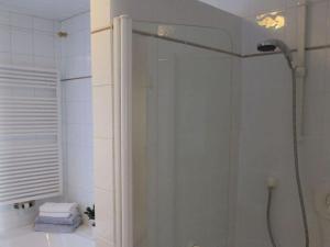 La salle de bains est pourvue d'une douche avec une porte en verre. dans l'établissement Nice apartment in Gersfeld, à Gersfeld
