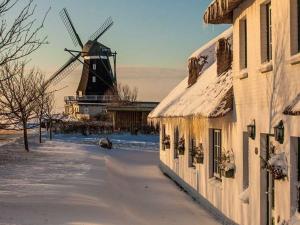 un moulin à vent au loin avec un bâtiment et une maison dans l'établissement Müller's apartment in the Nordermühle, à Pellworm