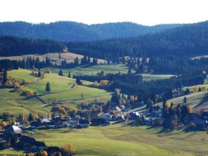 a small village in the middle of a green field at Nice apartment in Bonndorf im Schwarzwald in Bonndorf im Schwarzwald
