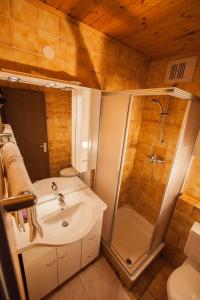 ein Bad mit einem Waschbecken, einer Dusche und einem WC in der Unterkunft Ferienwohnung Jaufenthaler Zettersfeld in Lienz