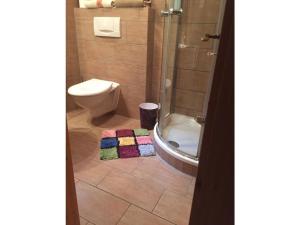 a bathroom with a toilet and a shower and a rug at Appealing apartment in Lenzkirch in Lenzkirch +32 photos