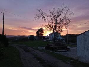 un camino de tierra con un árbol y una puesta de sol en Sunset Vista Apartment B en Mação