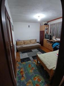 a living room with a couch and a bed in it at Apartment Letić in Šipovo