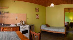 a kitchen with green walls and a kitchen with a table at Cabañas Costa del Percy in Trevelín