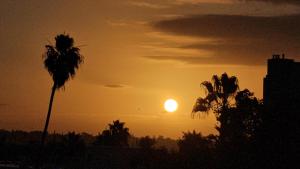 a sunset with a palm tree and the sun at Luxury Space in the Marina in Los Angeles