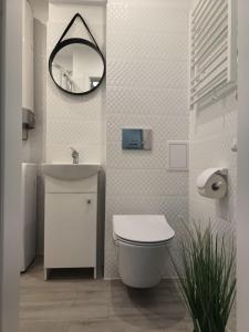 a bathroom with a toilet and a sink and a mirror at Apartament Pułaskiego 11m8 - Centrum Sopotu 1 min do Monciaka in Sopot