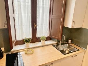 タオルミーナにあるArchè Apartmentのキッチン(シンク付)、窓(鉢植えの植物付)