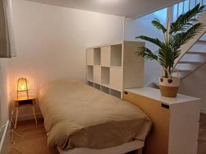 - une chambre avec un lit et une plante en pot dans l'établissement Natuur Appartement Dinxperlo, à Dinxperlo