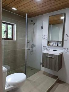 a bathroom with a shower and a toilet and a sink at Villa Channel in Jarabacoa