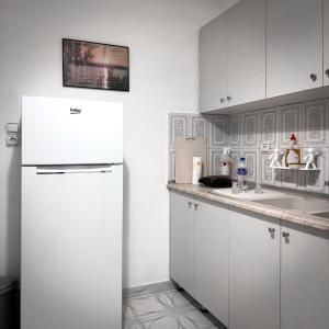 Kuchyň nebo kuchyňský kout v ubytování Guest House Ergest