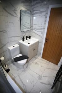 a bathroom with a toilet and a sink and a mirror at Bryn Glo in Capel Curig