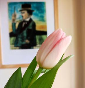 różowy kwiat przed zdjęciem mężczyzny w obiekcie Nikifour, apartament nad deptakiem w mieście Krynica Zdrój
