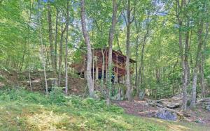 a tree house in the middle of the woods at Duck`s Nest Retreat in Turtletown