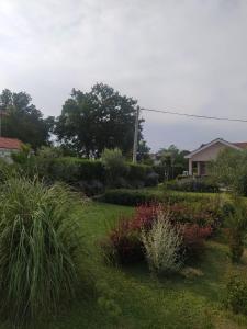 Jardín al aire libre en Medjugorje Perfect family house